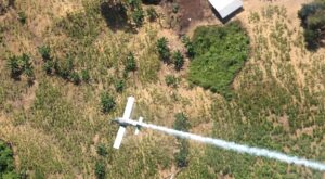 দক্ষিণ আমেরিকায় বিমান দুর্ঘটনা, সংসদ সদস্যসহ নিহত ১৫